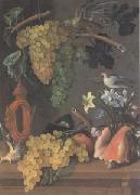 Juan de  Espinosa Still Life with Grapes (san 05) Norge oil painting reproduction